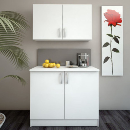 Kitchen unit NOVA 3 245200 (#2871)