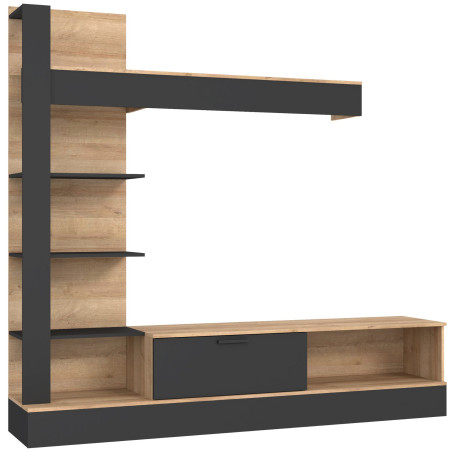 Wall unit GELUZA (#3586)