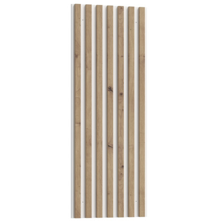 Sienas paneļi SKELPE B05 (#3631)