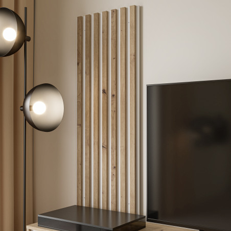 Wall panels SKELPE B05 (#3631)